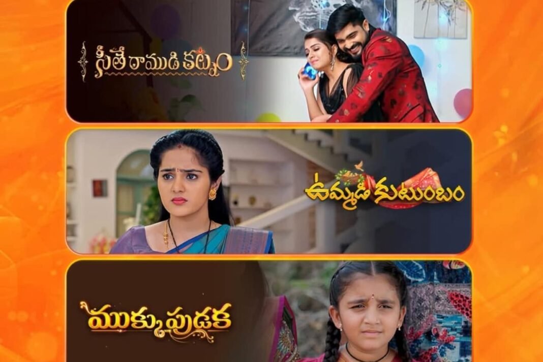 Zee Telugu - Matinee Serials